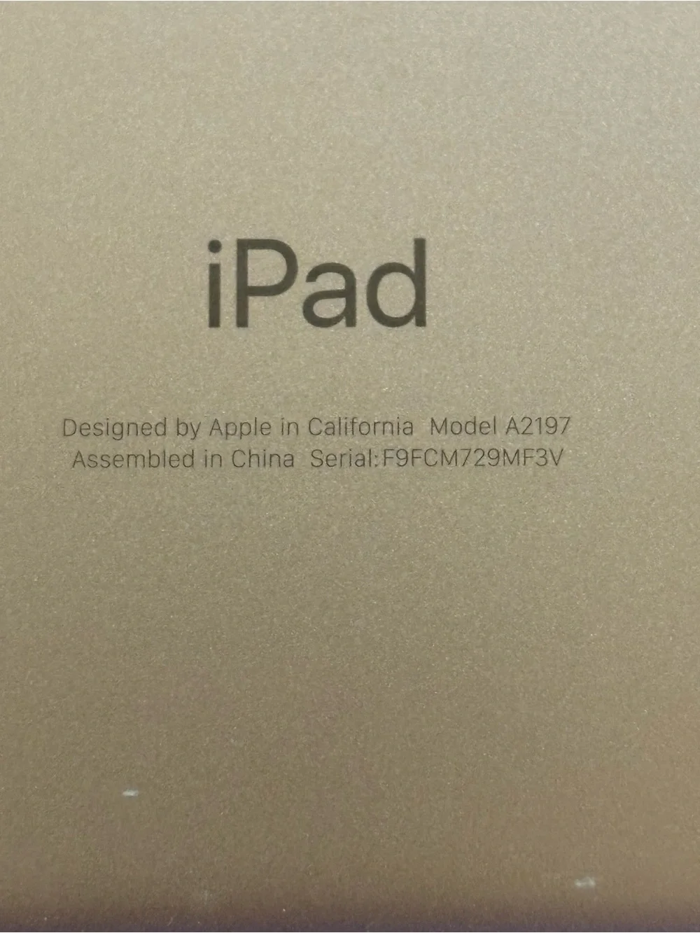 Apple this ipad